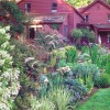 Снимки на къща градини