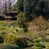Снимки на японски градини