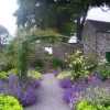 Ирландски Къщички градини
