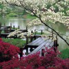 Японска ботаническа градина