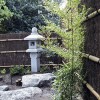 Японски градински бамбук