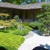 Японски градински дизайн растения