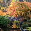 Японски градински снимки