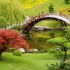 Японски градина снимки изображения и снимки