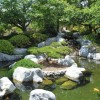 Японска градина с езерце