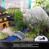 Японска миниатюрна градина
