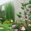 Японски стил растения