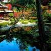 Традиционна японска градина