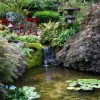 Японска градина на спокойствието
