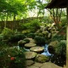 Японски водни градински растения