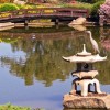 Японски водни градини снимки