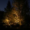 Пейзажни светлини за дървета