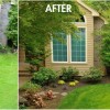 Озеленяване идеи за малък двор в предната част на къщата