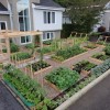 Модерен дизайн на зеленчукова градина