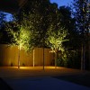 Идеи за външно осветление дървета