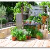 Вътрешен двор зеленчукова градина дизайн