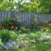 Многогодишни цветни градински дизайни