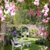 Снимки на английски градини