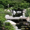 Снимки на японски градини