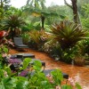 Снимки на тропически градини