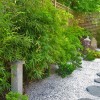 Растения за японски градини Великобритания