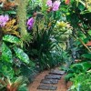 Идеи за градината на тропическите гори