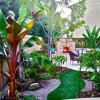 Малък заден двор тропически идеи за озеленяване