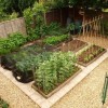 Идеи за малка зеленчукова градина