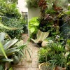 Идеи за субтропична градина