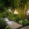 Тропическа домашна градина