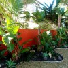 Тропически двор растения