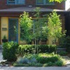 Градски преден двор идеи за озеленяване