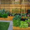Зеленчукова градина идеи за малки пространства