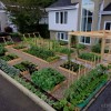 Зеленчукова градина идеи за малки дворове