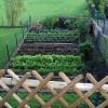 Идеи за зеленчукови градини