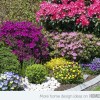 Цветни растения за озеленяване