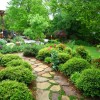 Идеи за озеленяване на вашия двор