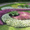 Красива цветна градина дизайни