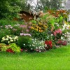 Красиви градини озеленяване