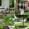 Евтини и лесни идеи за озеленяване на предния двор