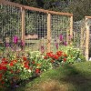 Ограда за градина