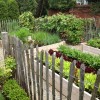 Малка градинска ограда идеи