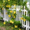 Малки идеи за ограда за градината