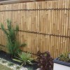 Бамбук градина ограда екран