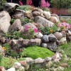 Идеи за рок градина за заден двор