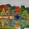 Най-добрите градини в Япония