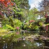 Японска градина Англия