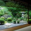 Японска градина жив плет