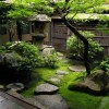 Японски мъх градина дизайн