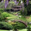Японски чай градина дизайн идеи